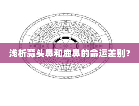 浅析蒜头鼻和鹿鼻的命运差别？