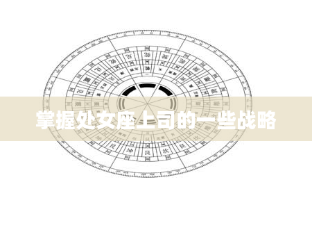 掌握处女座上司的一些战略