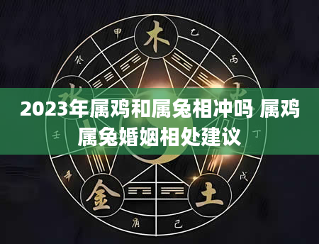 2023年属鸡和属兔相冲吗 属鸡属兔婚姻相处建议