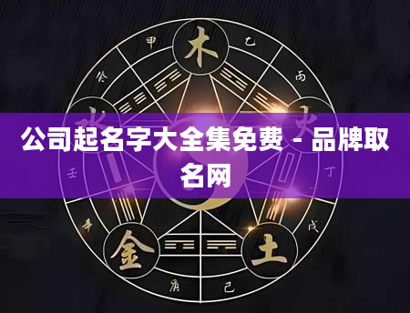 公司起名字大全集免费 - 品牌取名网