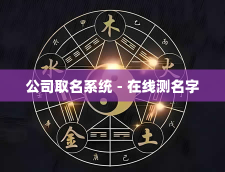 公司取名系统 - 在线测名字