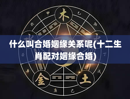 什么叫合婚姻缘关系呢(十二生肖配对姻缘合婚)