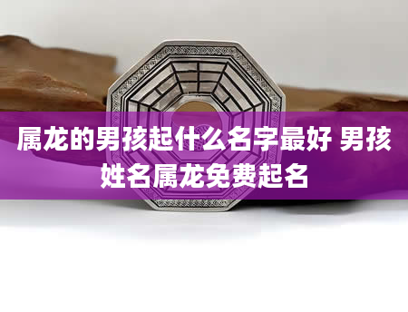 属龙的男孩起什么名字最好 男孩姓名属龙免费起名