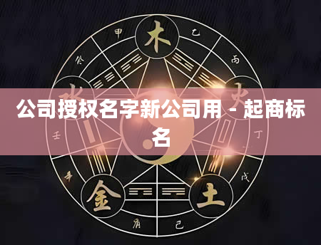 公司授权名字新公司用 - 起商标名