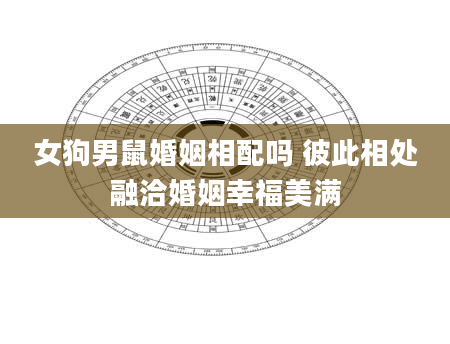 女狗男鼠婚姻相配吗 彼此相处融洽婚姻幸福美满