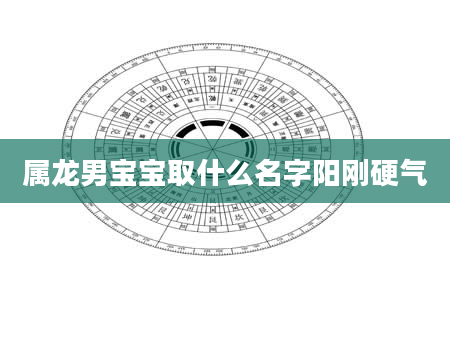 属龙男宝宝取什么名字阳刚硬气