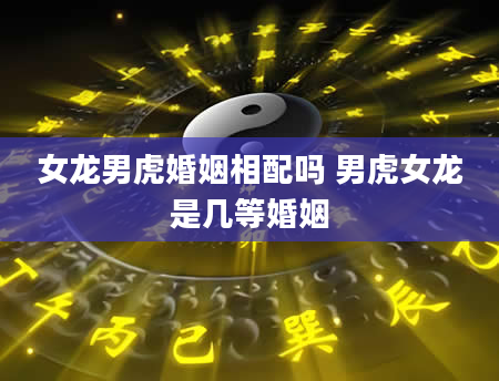 女龙男虎婚姻相配吗 男虎女龙是几等婚姻