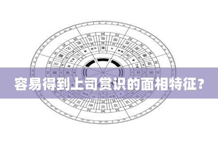 容易得到上司赏识的面相特征？