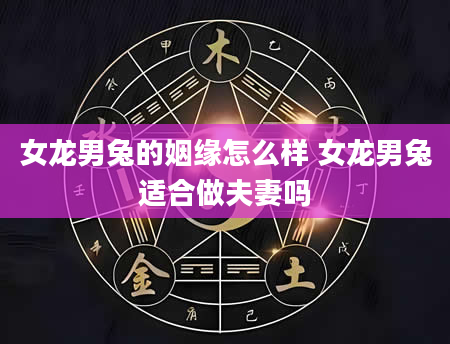 女龙男兔的姻缘怎么样 女龙男兔适合做夫妻吗