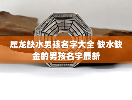 属龙缺水男孩名字大全 缺水缺金的男孩名字最新