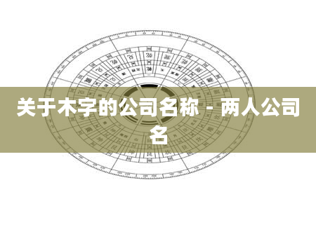 关于木字的公司名称 - 两人公司名