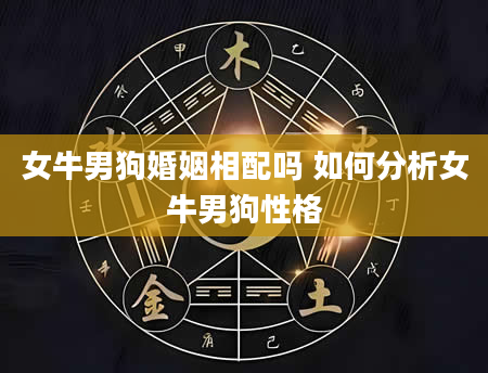 女牛男狗婚姻相配吗 如何分析女牛男狗性格