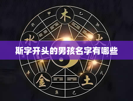 斯字开头的男孩名字有哪些