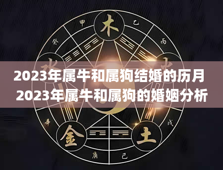 2023年属牛和属狗结婚的历月 2023年属牛和属狗的婚姻分析