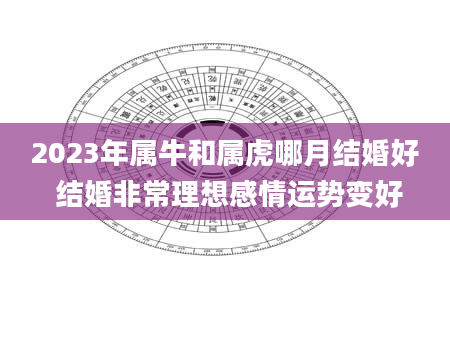 2023年属牛和属虎哪月结婚好 结婚非常理想感情运势变好