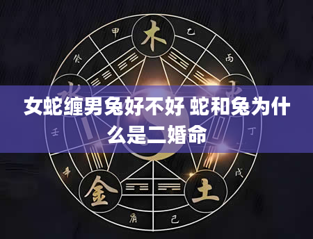 女蛇缠男兔好不好 蛇和兔为什么是二婚命