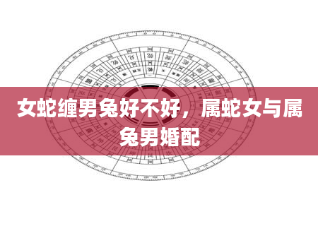 女蛇缠男兔好不好，属蛇女与属兔男婚配