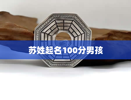 苏姓起名100分男孩