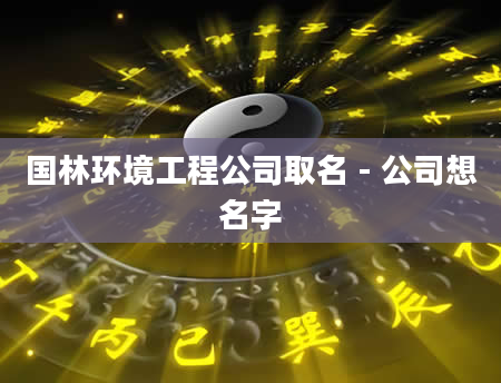 国林环境工程公司取名 - 公司想名字