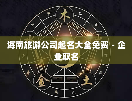 海南旅游公司起名大全免费 - 企业取名