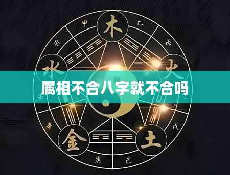 属相不合八字就不合吗