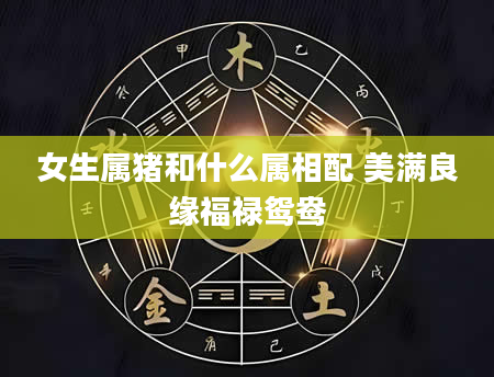 女生属猪和什么属相配 美满良缘福禄鸳鸯