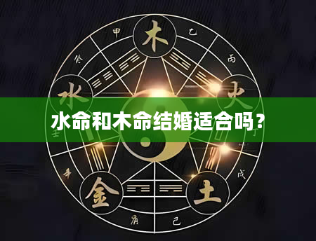水命和木命结婚适合吗？