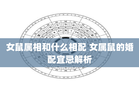 女鼠属相和什么相配 女属鼠的婚配宜忌解析