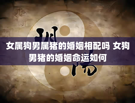 女属狗男属猪的婚姻相配吗 女狗男猪的婚姻命运如何
