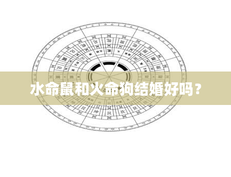 水命鼠和火命狗结婚好吗？