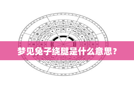梦见兔子绕腿是什么意思？
