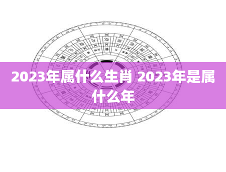 2023年属什么生肖 2023年是属什么年