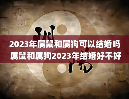 2023年属鼠和属狗可以结婚吗 属鼠和属狗2023年结婚好不好