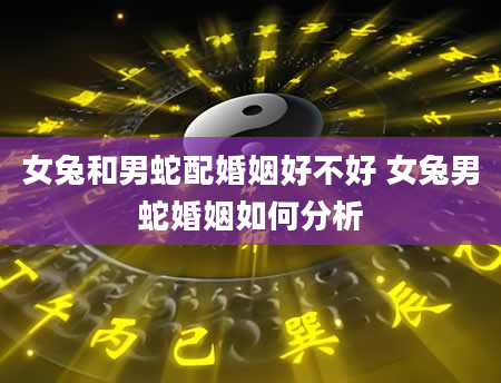 女兔和男蛇配婚姻好不好 女兔男蛇婚姻如何分析