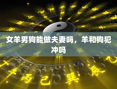 女羊男狗能做夫妻吗，羊和狗犯冲吗