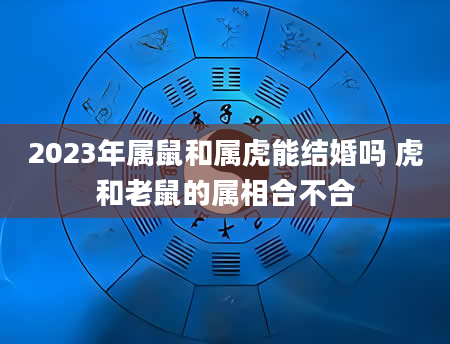 2023年属鼠和属虎能结婚吗 虎和老鼠的属相合不合