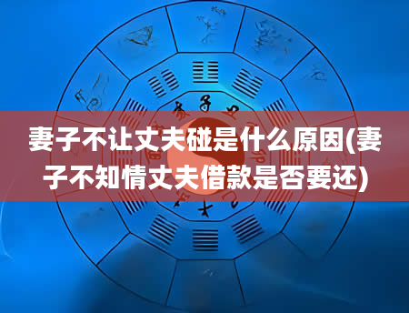 妻子不让丈夫碰是什么原因(妻子不知情丈夫借款是否要还)
