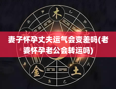 妻子怀孕丈夫运气会变差吗(老婆怀孕老公会转运吗)