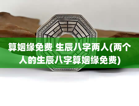 算姻缘免费 生辰八字两人(两个人的生辰八字算姻缘免费)