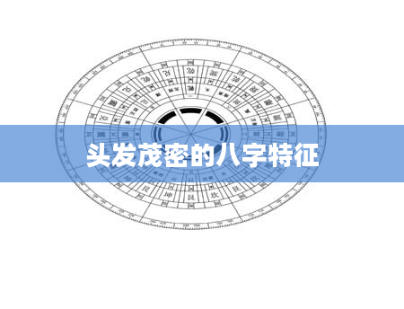 头发茂密的八字特征