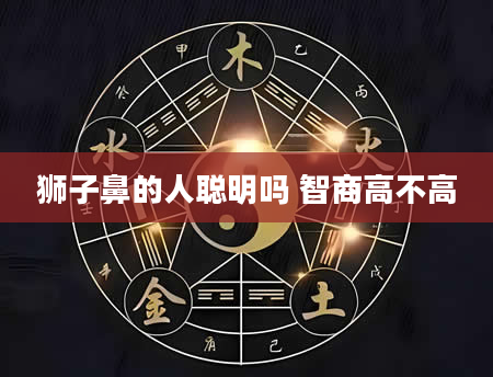 狮子鼻的人聪明吗 智商高不高