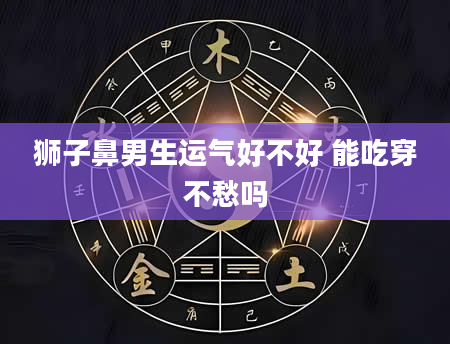 狮子鼻男生运气好不好 能吃穿不愁吗