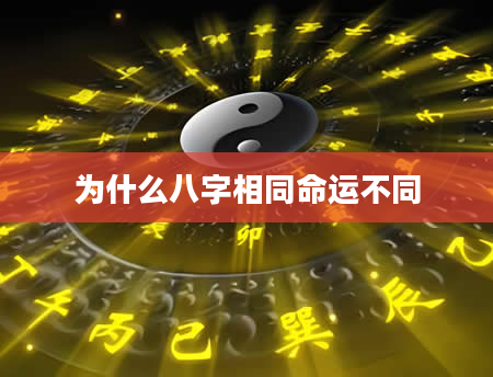 为什么八字相同命运不同