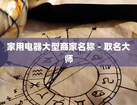 家用电器大型商家名称 - 取名大师