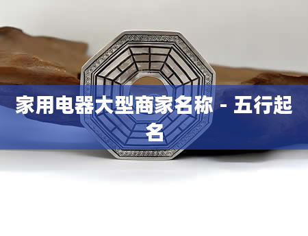 家用电器大型商家名称 - 五行起名
