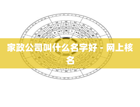 家政公司叫什么名字好 - 网上核名
