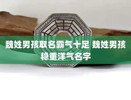 魏姓男孩取名霸气十足 魏姓男孩稳重洋气名字