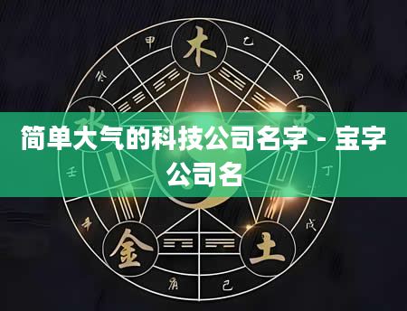 简单大气的科技公司名字 - 宝字公司名