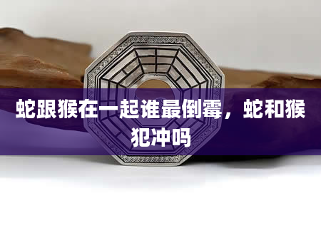 蛇跟猴在一起谁最倒霉，蛇和猴犯冲吗