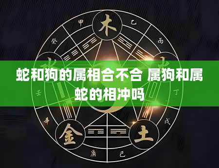 蛇和狗的属相合不合 属狗和属蛇的相冲吗